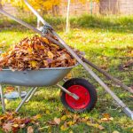 Leaf Removal – A Fall Chore That Can Save Your Lawn