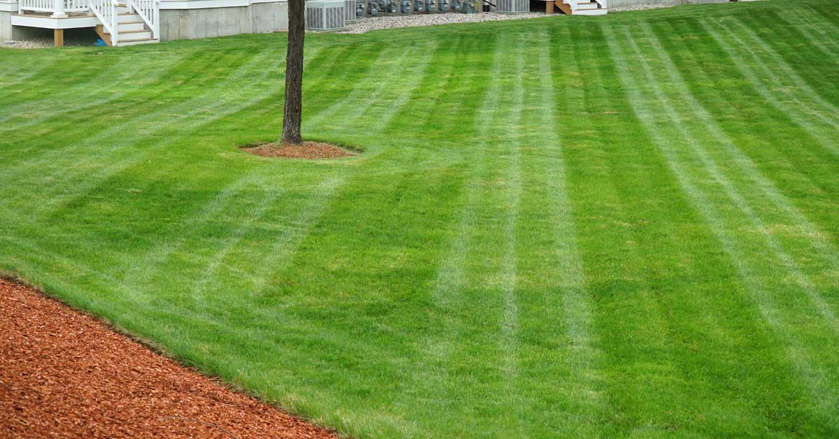 best-lawn-mowing-company-knoxville-tennessee