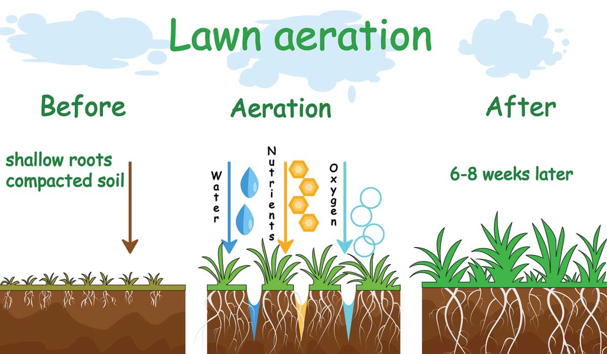 lawn-aeration-how-does-it-work