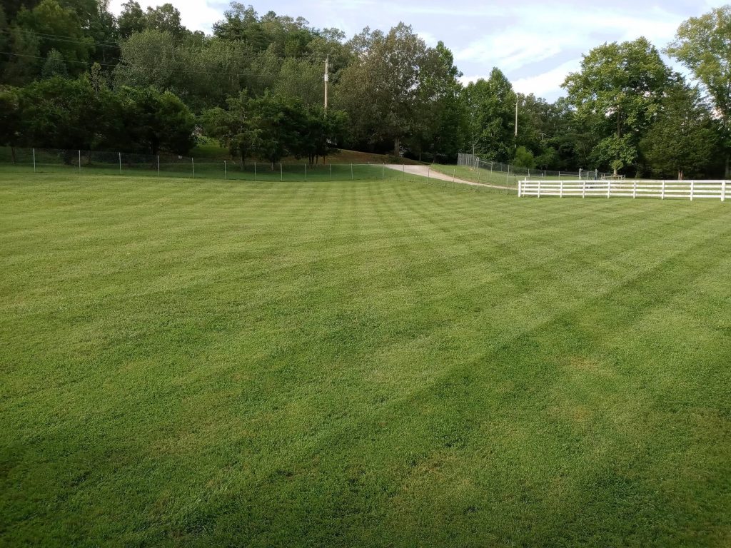 lawn care experts knoxville tn
