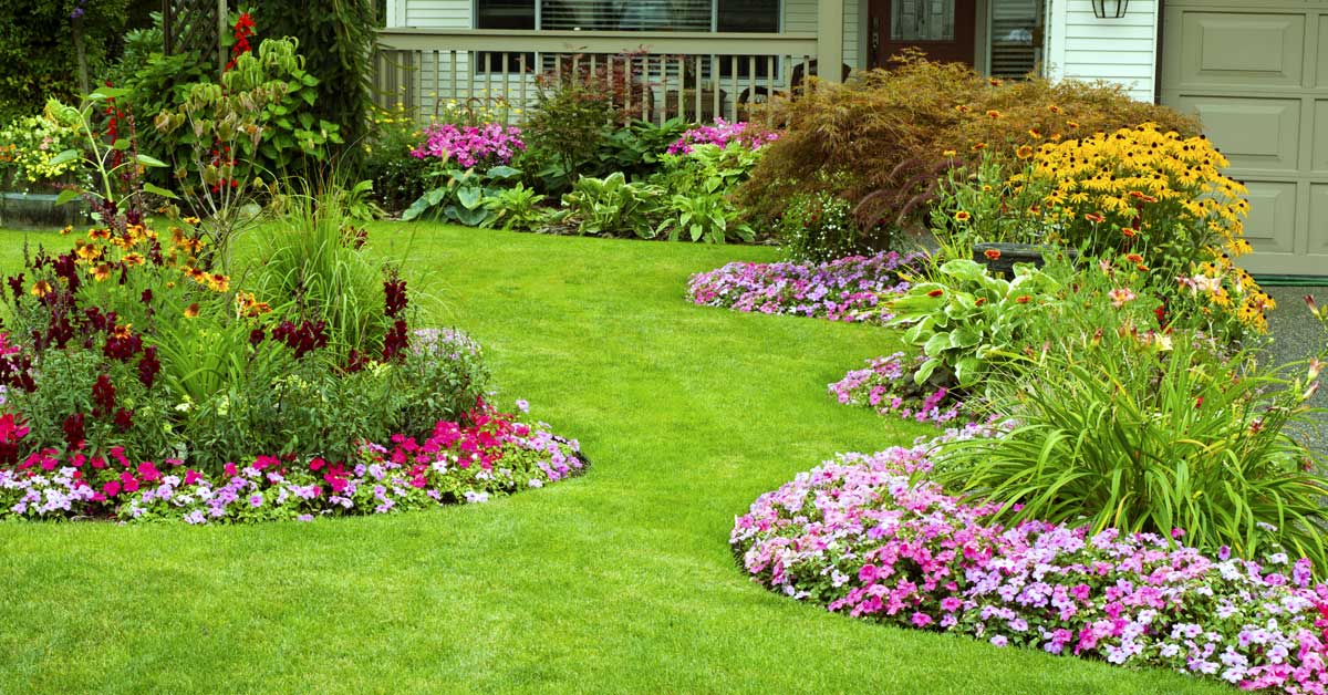 lawn-seeding-in-knoxville-tennessee